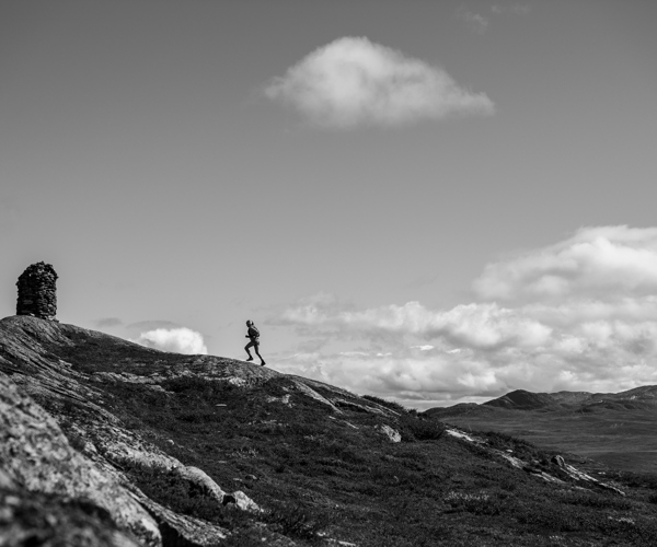 Filefjell Tyin Grei FBF 00017 Foto Sverre Hjornevik