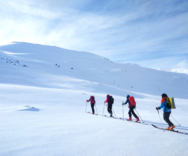 IMG 20210228 124204382 19721076