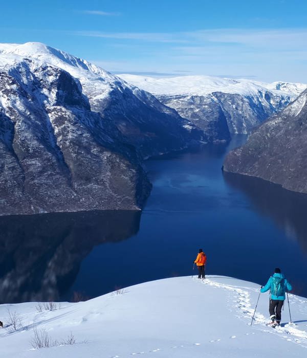 6751559B 880E 4A91 82E2 5937Fd4cb708