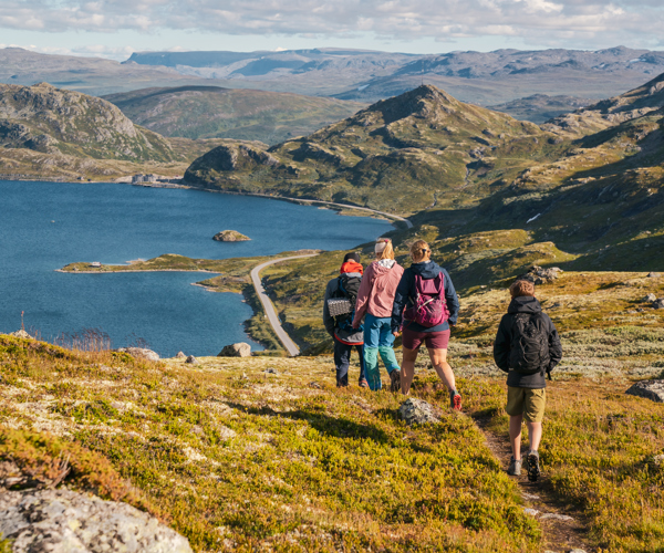 Filefjell Tyin Grei FBF 00011 Foto Sverre Hjornevik