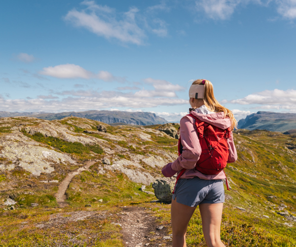 Filefjell Tyin Grei FBF 00022 Foto Sverre Hjornevik