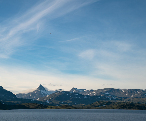 Filefjell Tyin Grei FBF 00059 Foto Sverre Hjornevik