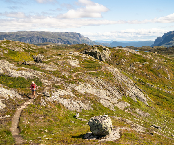 Filefjell Tyin Grei FBF 00016 Foto Sverre Hjornevik