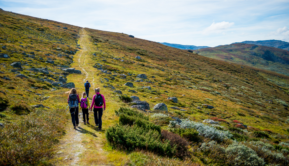 Kongevegen, Kyrkjestølen Maristova. Foto By Sverre Hjørnevik