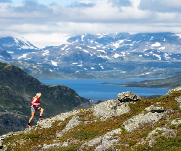 Filefjell Tyin Grei FBF 00042 Foto Sverre Hjornevik Liten