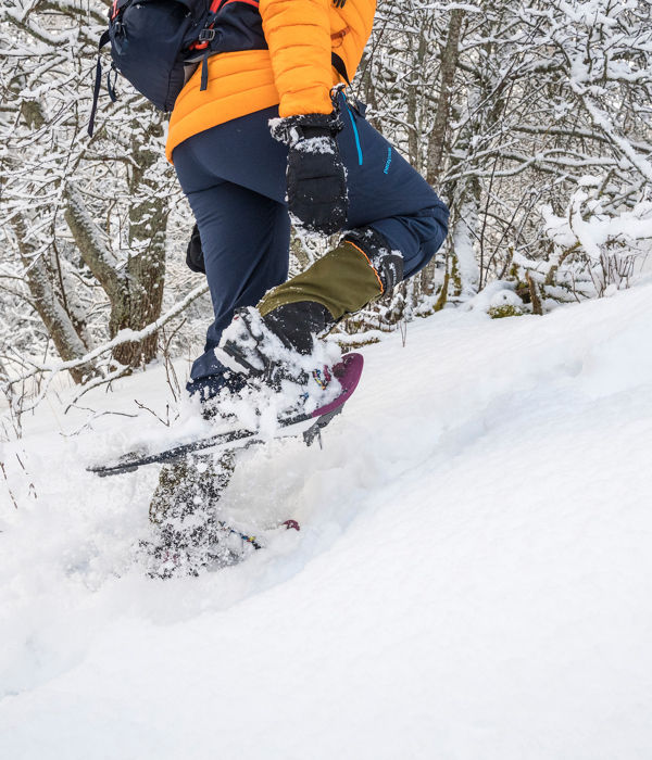 Close Up Snowshoe