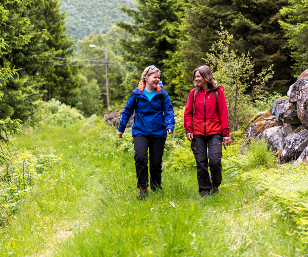 To personer går Kongeveien over Filefjell