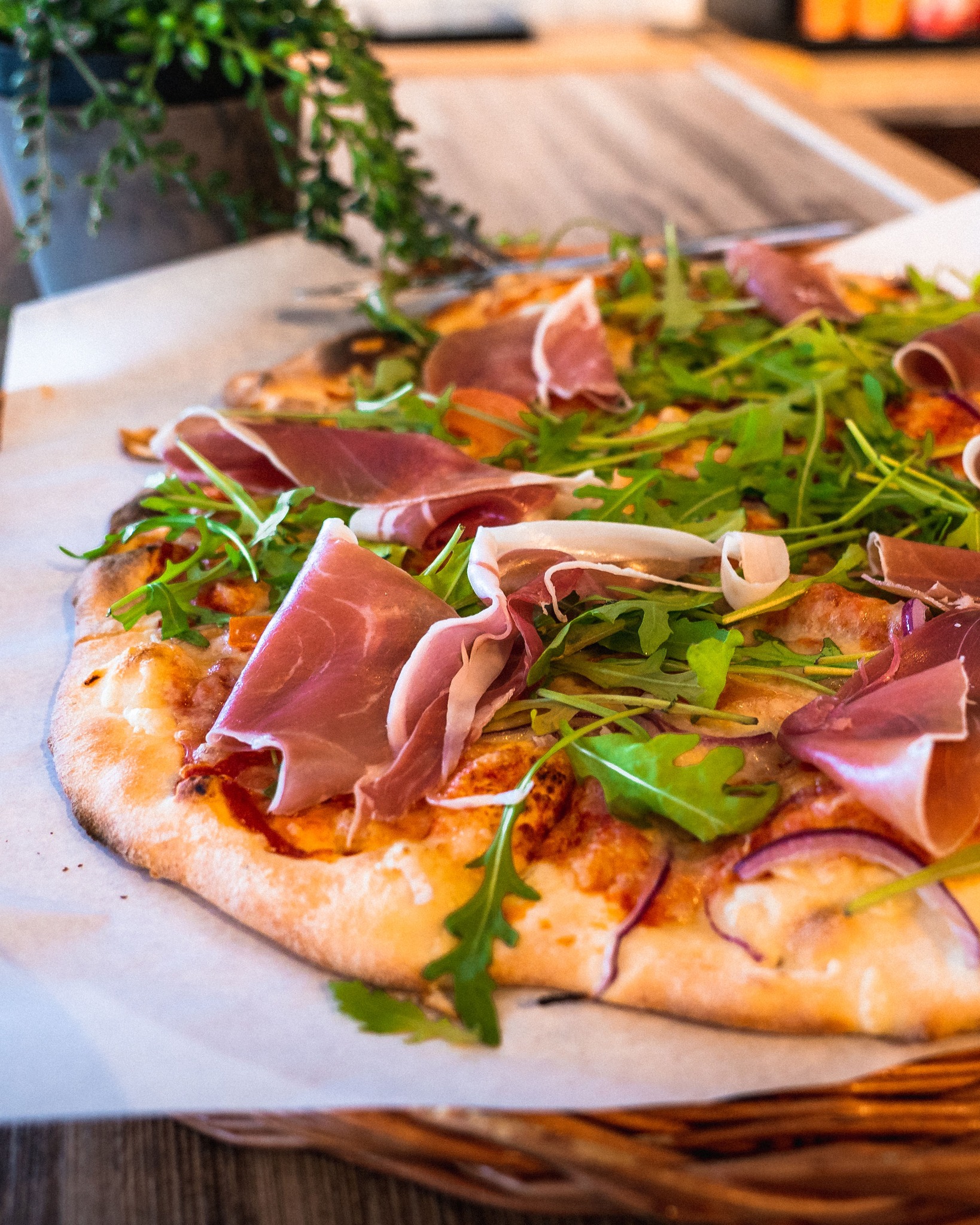 278045834 2292333827611077 4834002364471063313 N